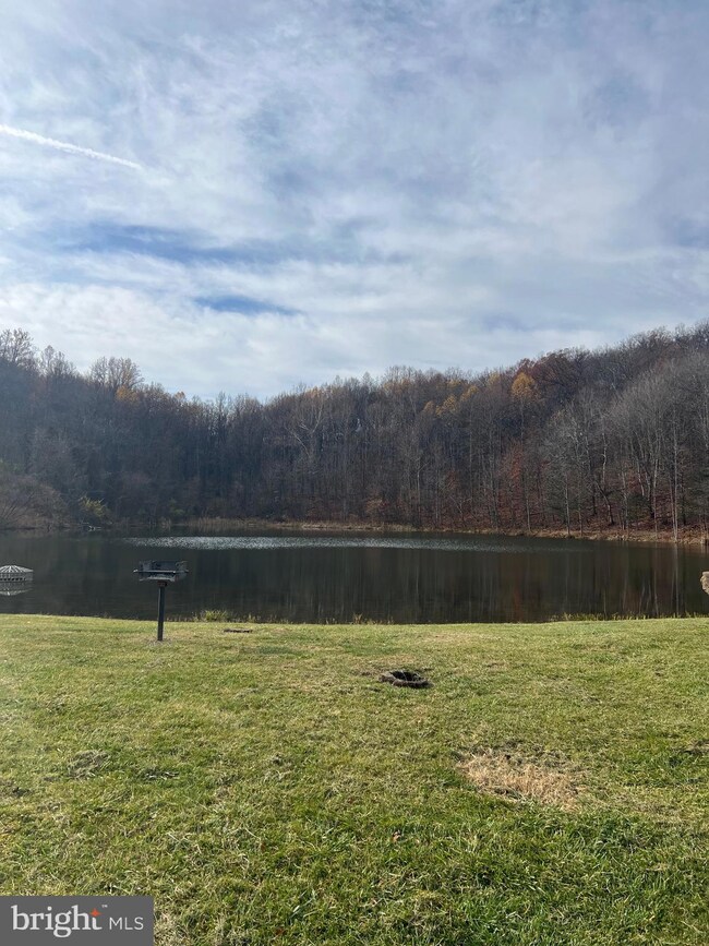 138 Venus Branch Rd, Front Royal, VA 22630 - photo 4