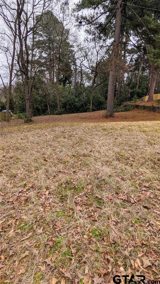 1012 S Azalea Dr, Tyler, TX 75701 - photo 3