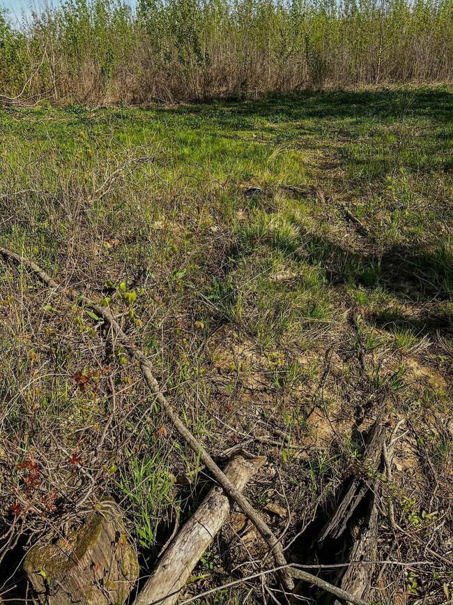 1962 acres Upper Lockhart Rd, Cord, AR 72524 - photo 7