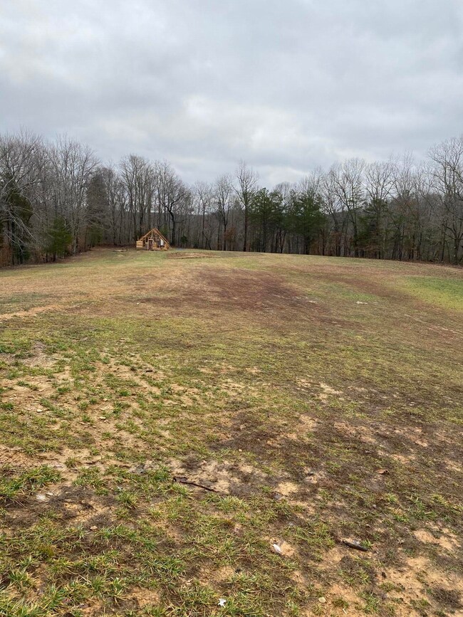 1036 Jesse Sears Rd, Somerset, KY 42501 - photo 4