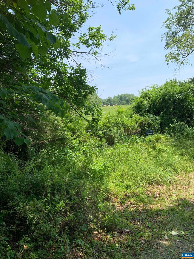 TBD Arrowhead Ln, Charlottesville, VA 22903 - photo 4