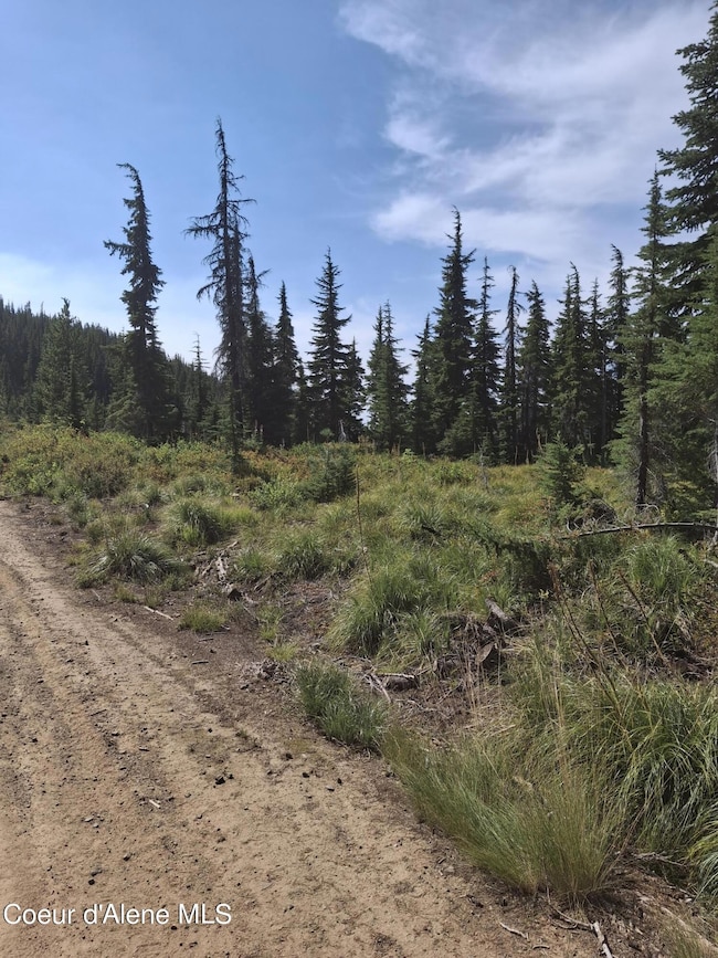 NKA Eagle Mining District, Murray, ID 83874 - photo 4