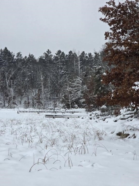 9019 W Wood Duck Ln, Minong, WI 54859 - photo 7