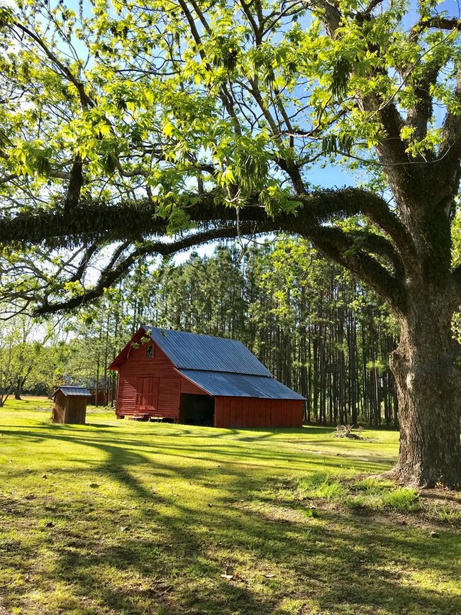 Country classic barn