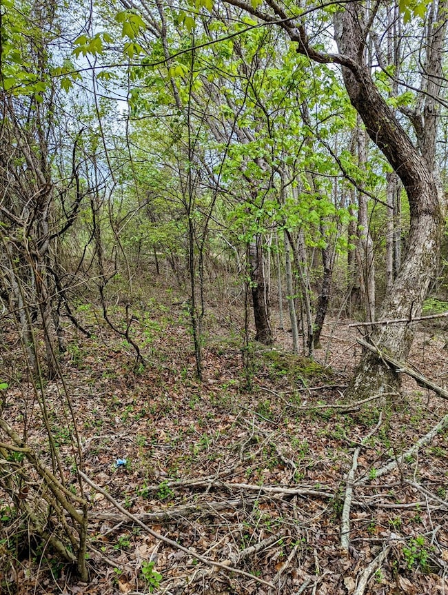 Lot 762 Surrey Ln, Spencer, TN 38585 - photo 3