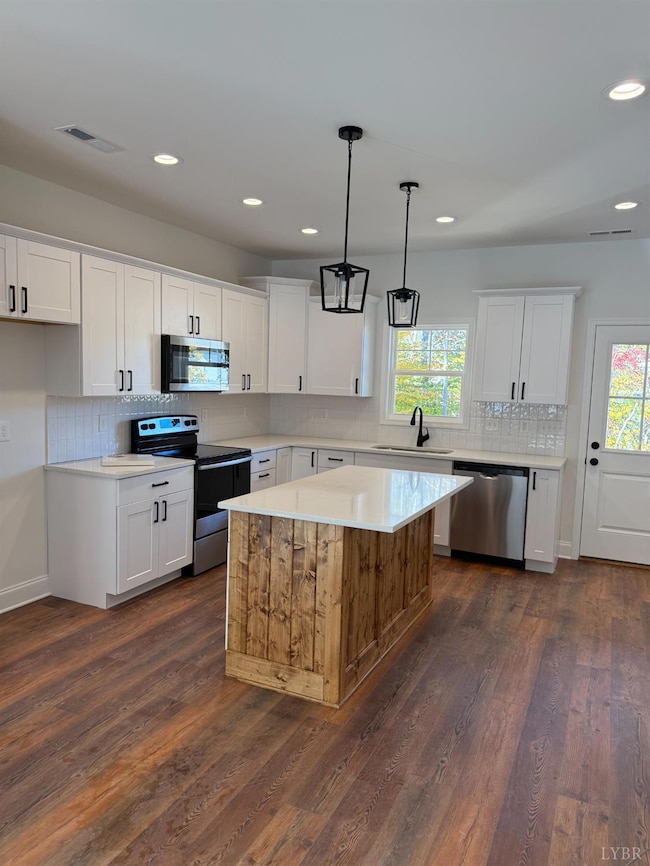 110 Aaron Place unit 603, Lynchburg, VA 24502 - photo 4