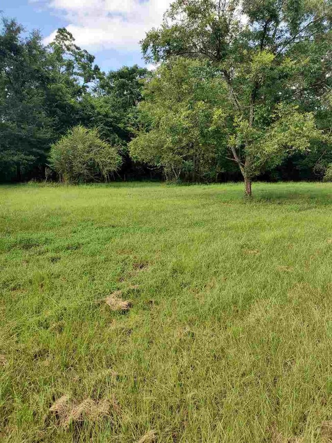 317 S Extension St, Hazlehurst, MS 39083 - photo 6