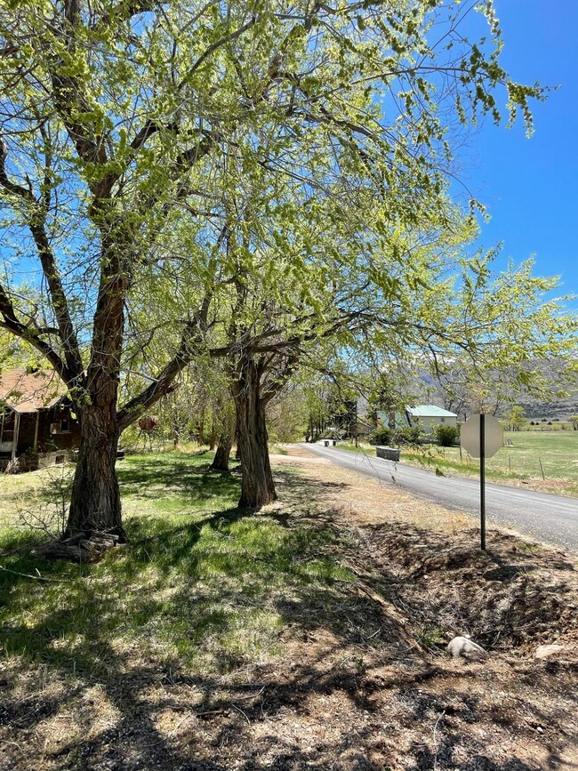 Property Boundary looking SW