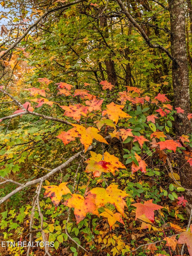 0 Mountie Ln, Knoxville, TN 37924 - photo 4