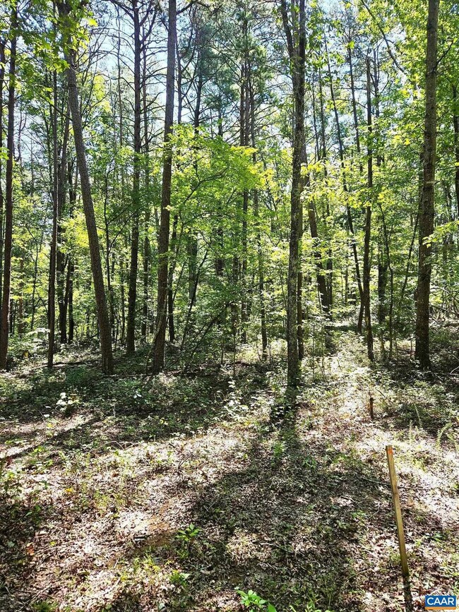 0 Constitution Hwy unit 644383, Orange, VA 22960 - photo 4