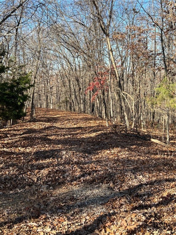 0 Chatburn Ln, Bella Vista, AR 72715 - photo 2