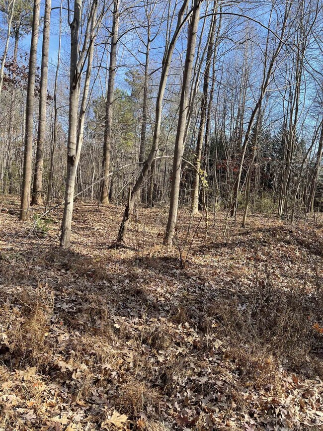 Off N Carolina 87, Pittsboro, NC 27312 - photo 2