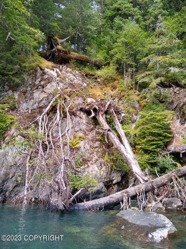 Potential Landing Spot