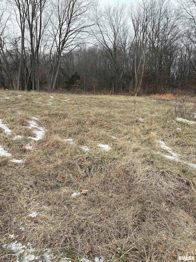 909-911 S Wilson St, Benton, IL 62812 - photo 3