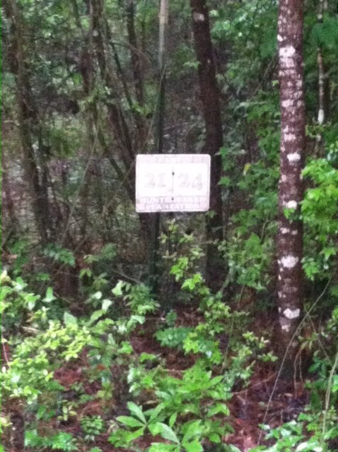 0 Hunters Trace unit 24A 256279, Crawfordville, FL 32327 - photo 2