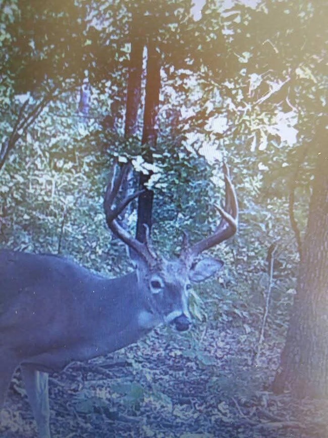 000 SE 1151, Dallas Township, MO 64738 - photo 2