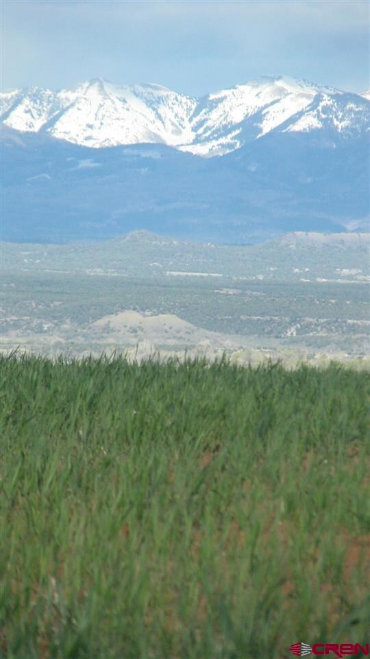 0 Road 22 7 unit 724943, Cortez, CO 81321 - photo 7