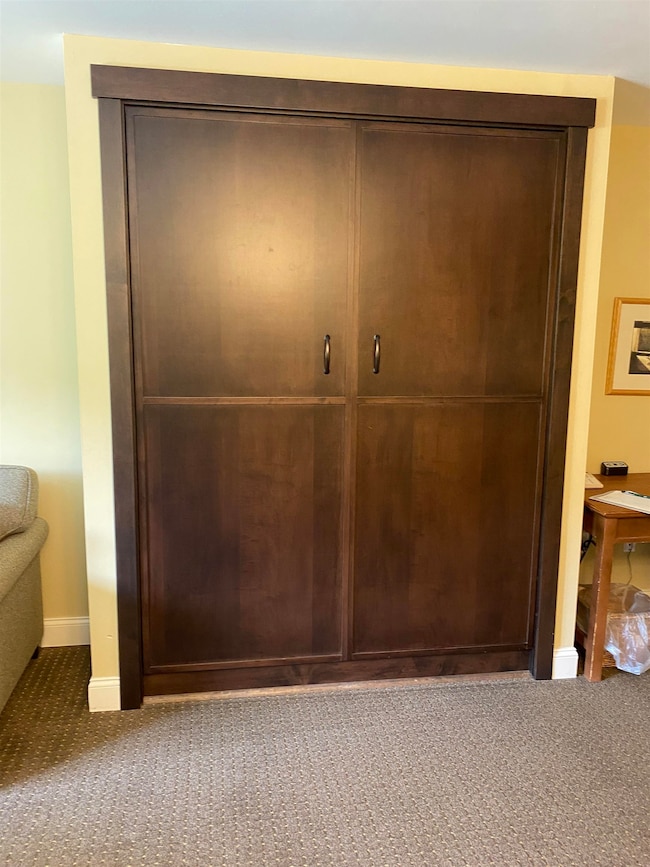 Murphy bed in Living room