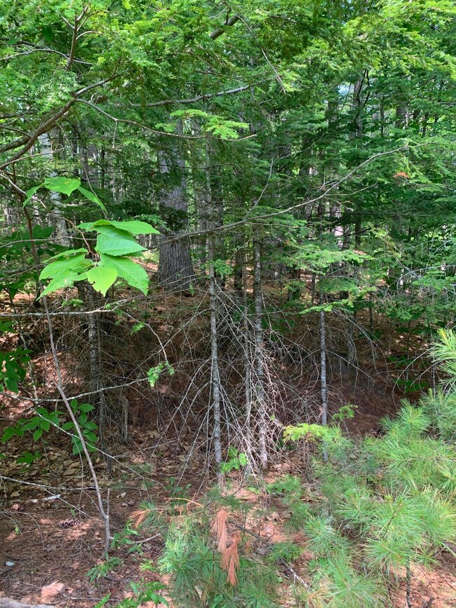 Lot 26 Mockingbird Ln, Bridgton, ME 04009 - photo 2