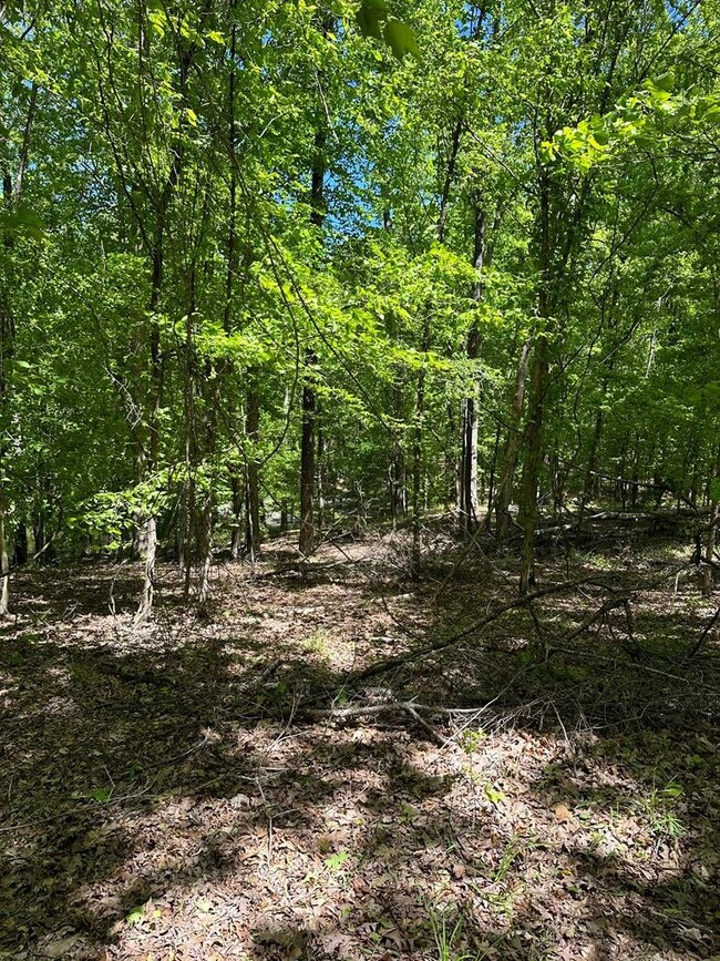 38 Cr 415, Oxford, MS 38655 - photo 5