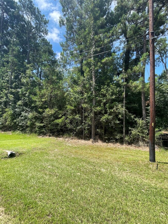 Lot 19 Clear Creek Forest 11, Magnolia, TX 77355 - photo 4