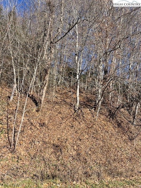 TBD Copeland Rd, Warrensville, NC 28693 - photo 5