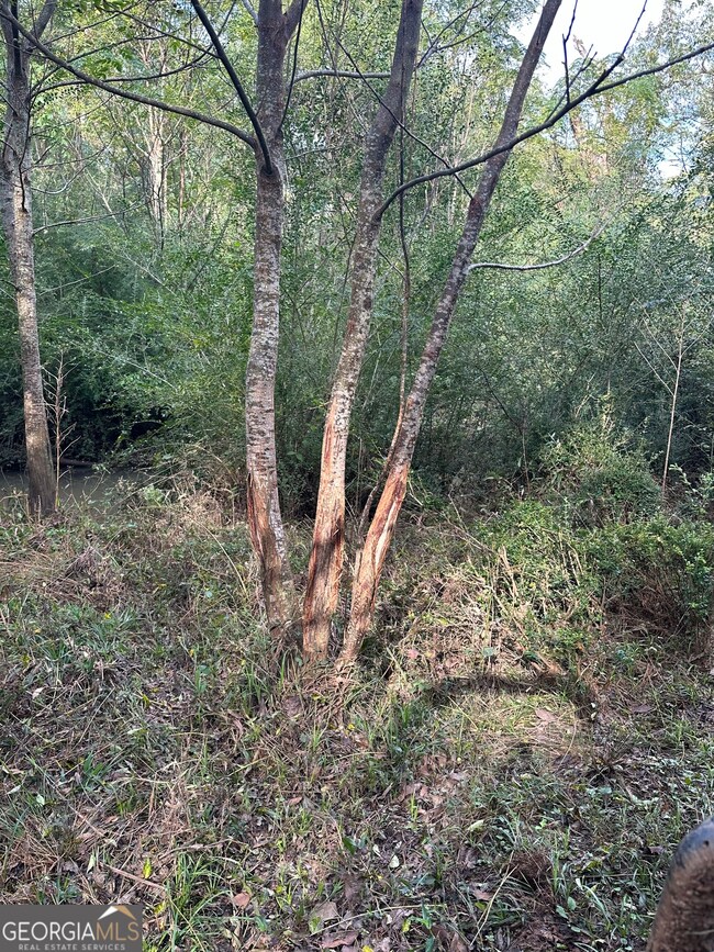 0 Seven Islands Rd unit 10593138, Madison, GA 30650 - photo 4