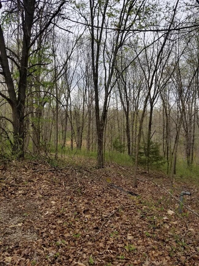 0 Reba Ln unit 1180911, Bella Vista, AR 72715 - photo 2