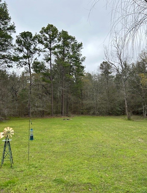 31310 Merry Merchant St, Magnolia, TX 77354 - photo 5