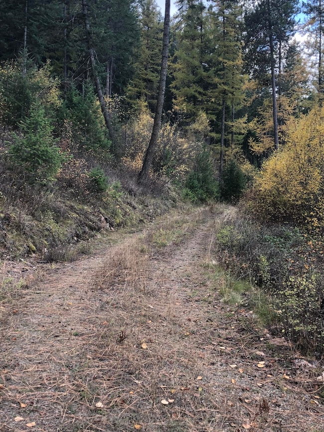 2190 Heine Rd, Chewelah, WA 99109 - photo 6