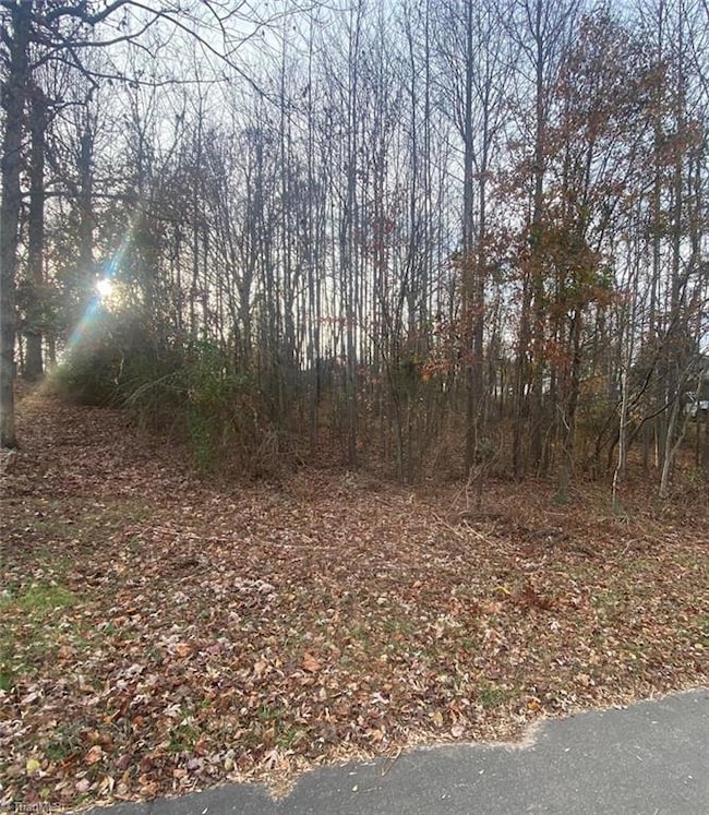 000 Meadow Lane Rd, Hays, NC 28635 - photo 4