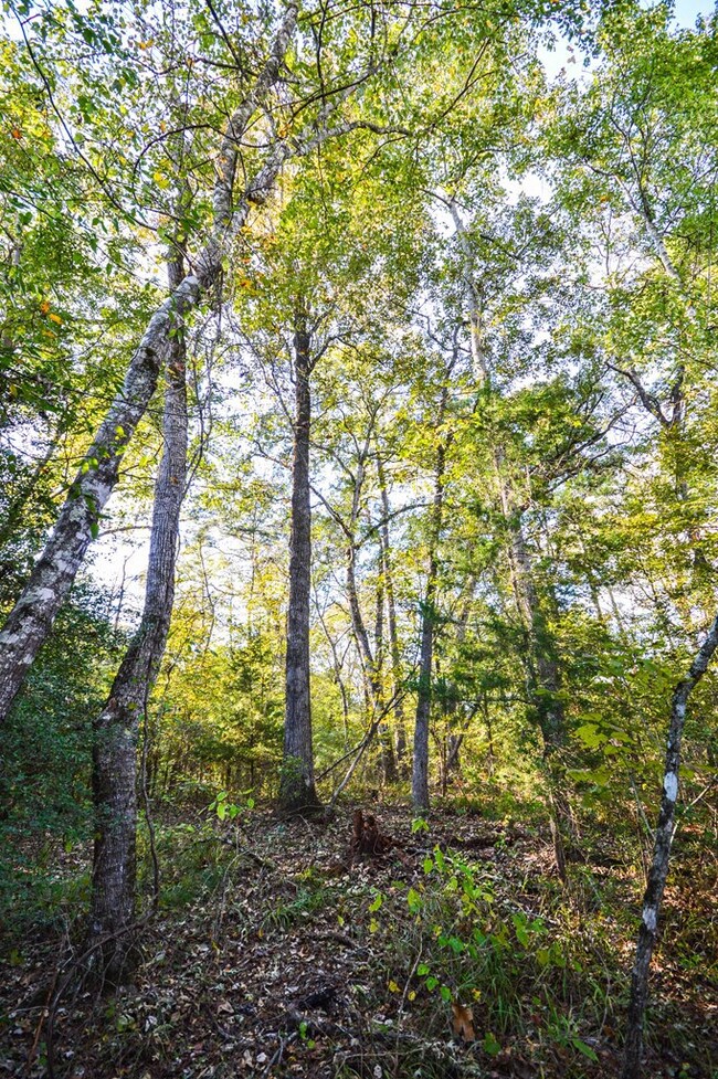 000 Deer Run Rd, Nacogdoches, TX 75964 - photo 6