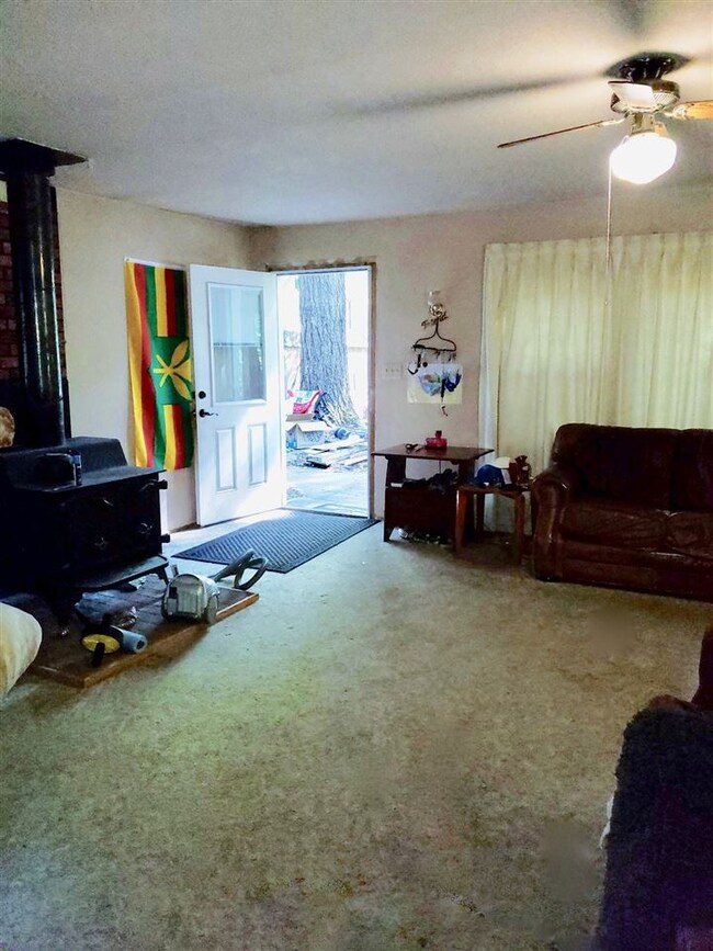 4313 Gray St, Dunsmuir, CA 96025 - photo 6