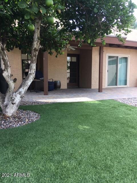 backyard pic 2