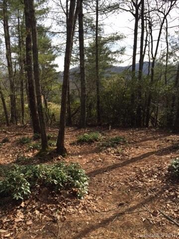 Photograph taken by: AMS Home Sales Broker Anna M 