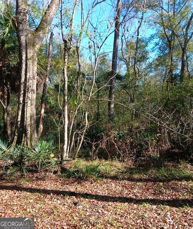 1962 Butler Johnson Rd, White Oak, GA 31568 - photo 6