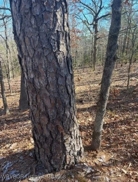 TBD Rural Latimer, Wilburton, OK 74578 - photo 7