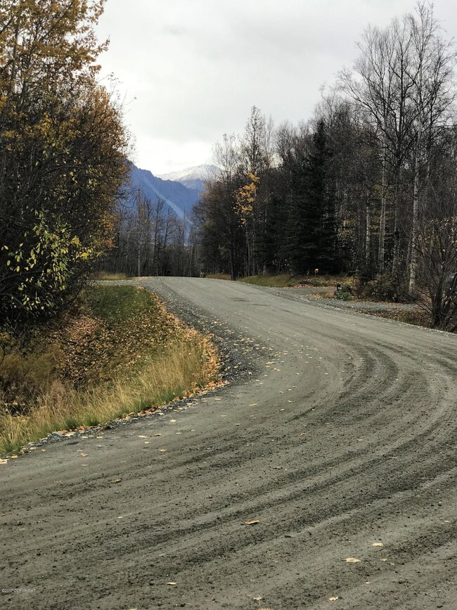 15600 Jupiter Ave, Lazy Mountain, AK 99645 - photo 4