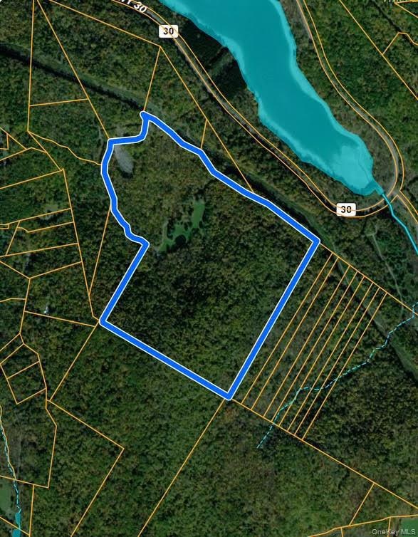 365 Via Appian Way, Roscoe, NY 12776 - photo 5