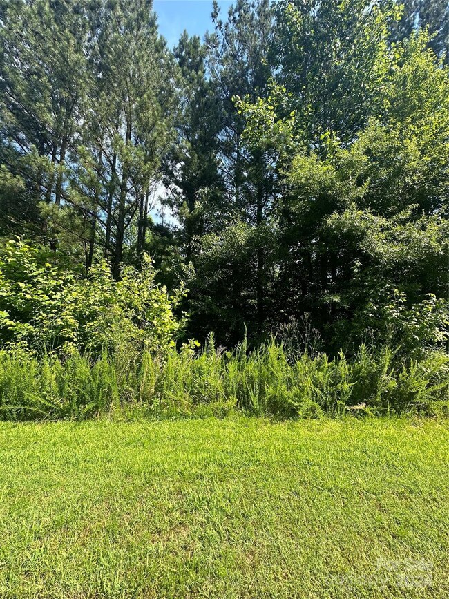 5135 Star Magnolia Ct, Clover, SC 29710 - photo 4