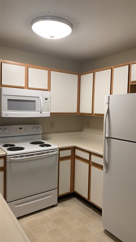 510 Davis Mills Dr unit 302, Harrisonburg, VA 22801 - photo 7