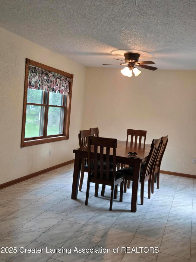 226 E Washington St, Maple Rapids, MI 48853 - photo 6