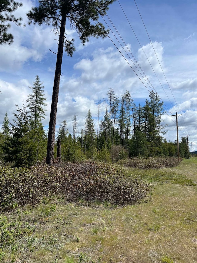 NKA - parcel #2 U S Highway 2, Newport, WA 99156 - photo 4