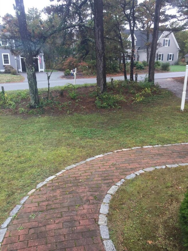 Additional Photo