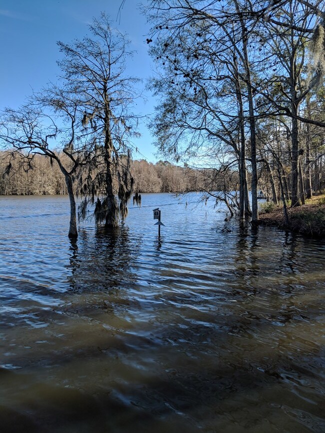 View from lot to the right property line