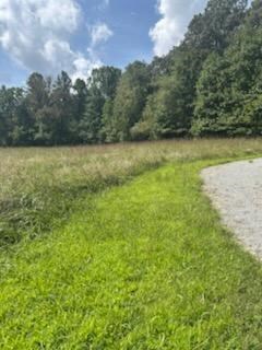 Tr 1 Rev Burch Cove Rd, Hayesville, NC 28904 - photo 6