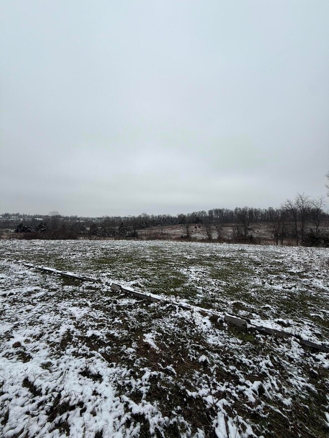 1013-B Salem Pike, Cynthiana, KY 41031 - photo 6