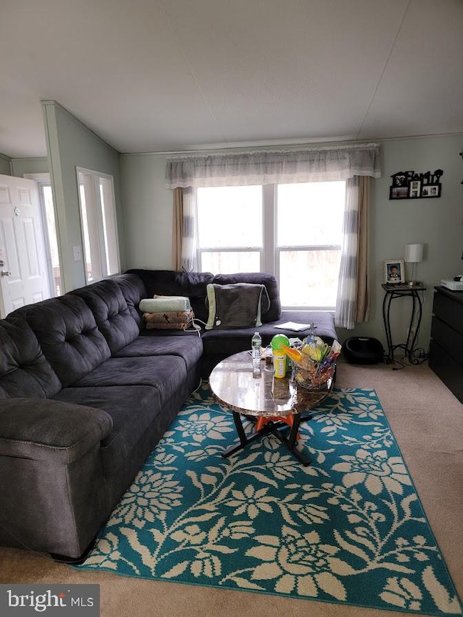 3437 New Moon St, Browns Mills, NJ 08015 - photo 7