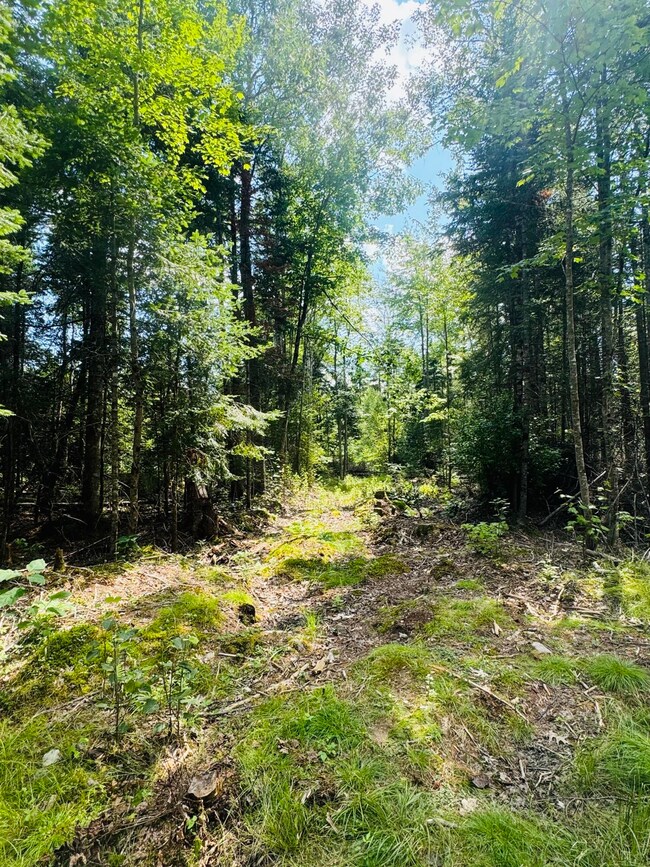 14-6 Hemlock Dr, Hudson, ME 04449 - photo 2