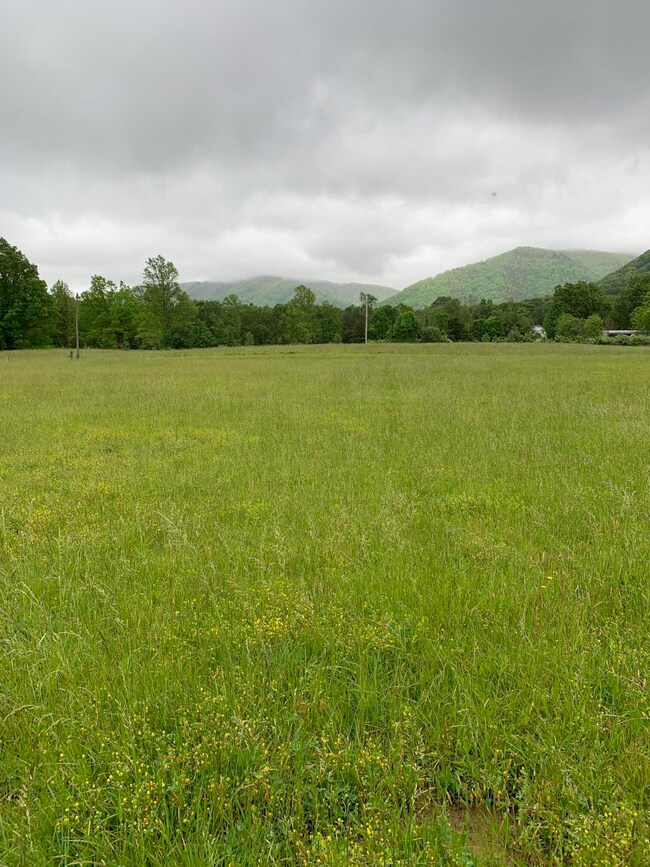 Lt 14 Old Mountain Rd, Greeneville, TN 37743 - photo 2